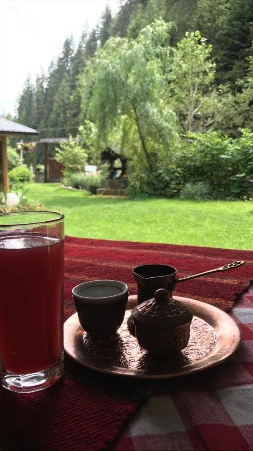 Rozhajë Sastanci-Grahovacaヴィラ エクステリア 写真
