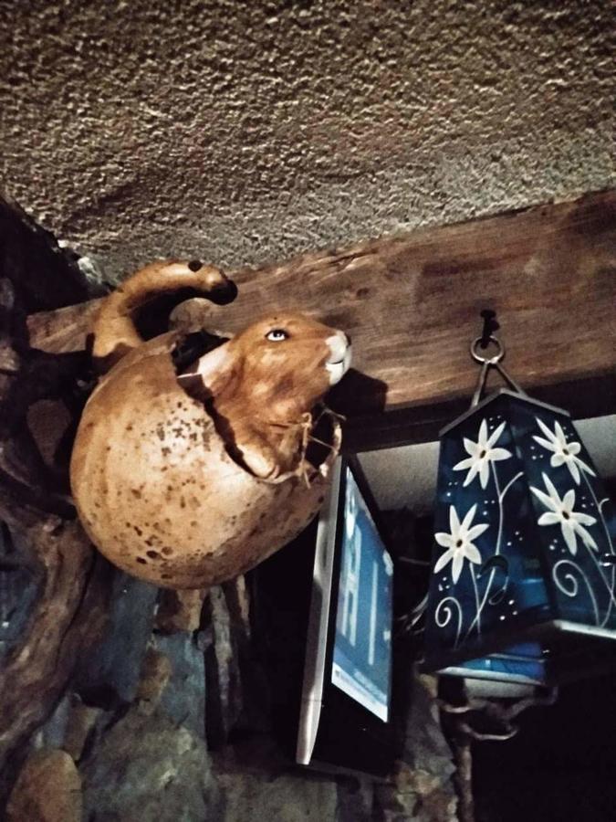 Rozhajë Sastanci-Grahovacaヴィラ エクステリア 写真